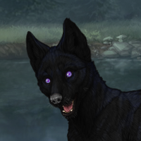 [C]Black 2M Lunisolar 371 Headshot