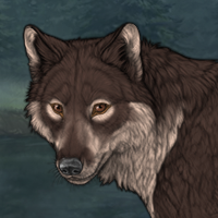 Balto Headshot