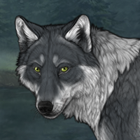 Wolf Headshot