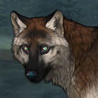 Ursa Cibus Headshot