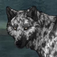 Wolf meat and sage Headshot