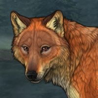 le fox Headshot
