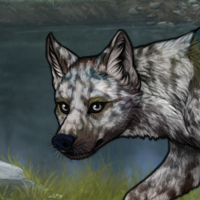 ((Pup))Walnut; 5M Headshot