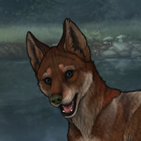 Thornpup Headshot