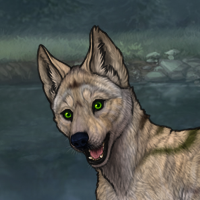 ((Pup))Cream Darker; 6M Headshot