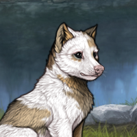 Piebald: Uneven Headshot