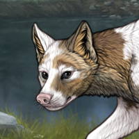 Piebald: Uneven Headshot