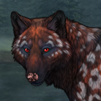 Realgar / merle Headshot