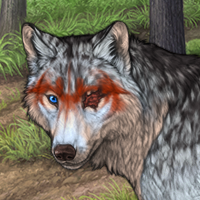 Wolf Headshot