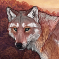 Glistening Dewdrop Headshot