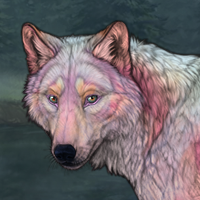 CupidFluff Headshot