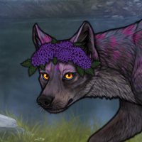 Mûre Headshot