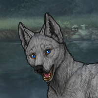 Grayfrost Headshot