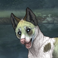 Piebald Headshot