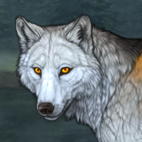 Wolf Headshot