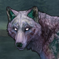 Echo Headshot