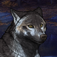 Wolf Headshot