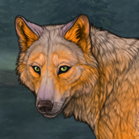 Wolfies Puppy Headshot