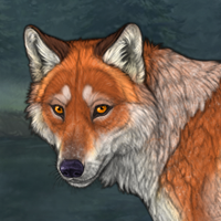 FoxyBingo Headshot