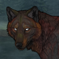 Birch Forest Headshot