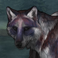 Moonlight/ Black merle Headshot