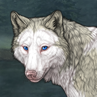 Piebald: Frontal Headshot