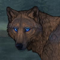 Mykola Twin.-Ox-moon Headshot