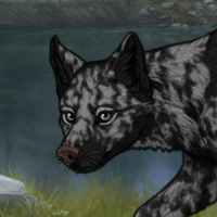 Melanism carrier | Male Headshot