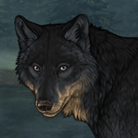 Wolf Headshot