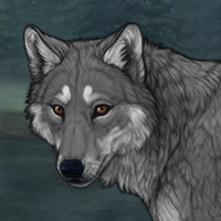 |~•``Grey Wolf``•~| Headshot