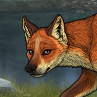 R&C Fox Headshot