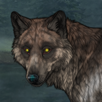 Marble - Traveling Wolf Headshot