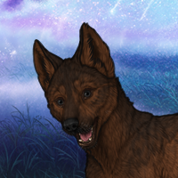 [>shep<] Headshot