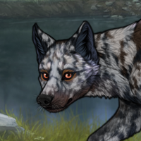 Blueschist Headshot