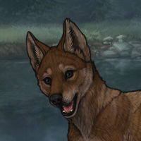 New Puppy Headshot