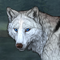 Wolf Headshot