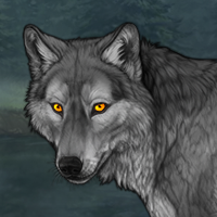 Skoll Headshot