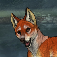 T3 Fox Female Pup Headshot