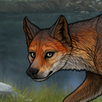 Sell female fox Headshot