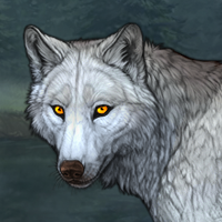 Wolf Headshot