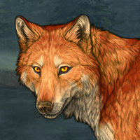Wolf Headshot
