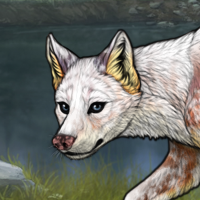 ufa Headshot