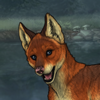 New Puppy - fox, storm ey Headshot