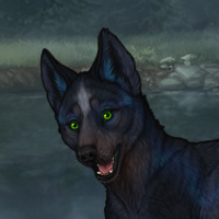 BLUESCHIST Headshot