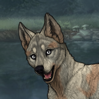 Enclave Puppy Headshot