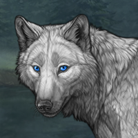 GreyWind Headshot