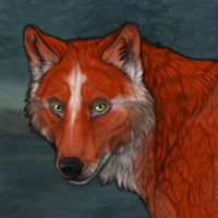 Foxi Headshot