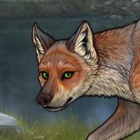 Frosted Fox Headshot