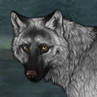 Wolf Headshot