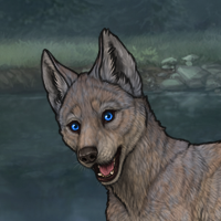 Shadowfoot Headshot